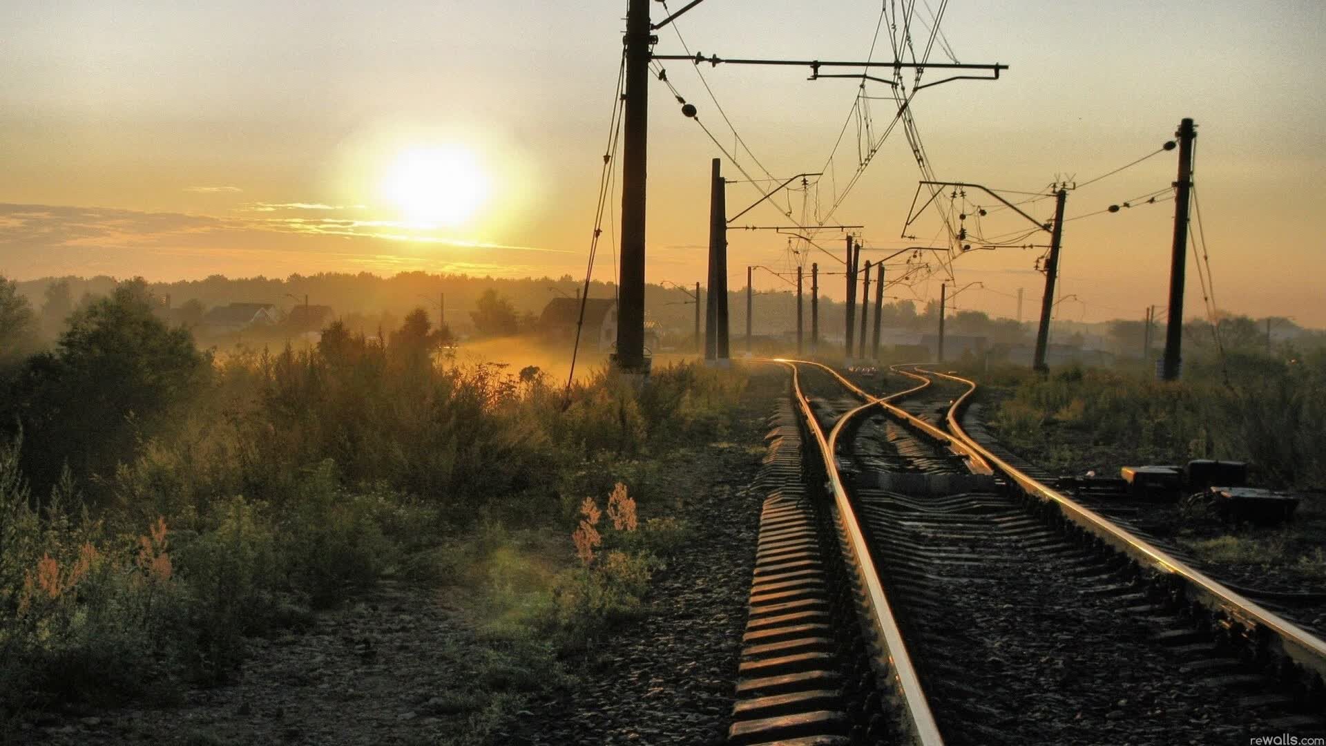 世界短跑社区导师扶持计划第二十一批名单公示，世界短跑王国